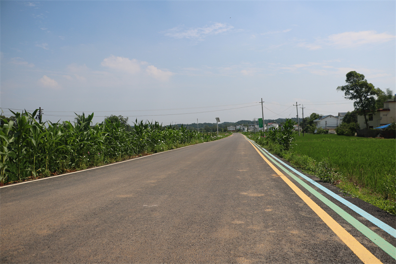 三家鎮(zhèn)三家大米現(xiàn)代農(nóng)業(yè)園園區(qū)道路黑化提升項(xiàng)目
